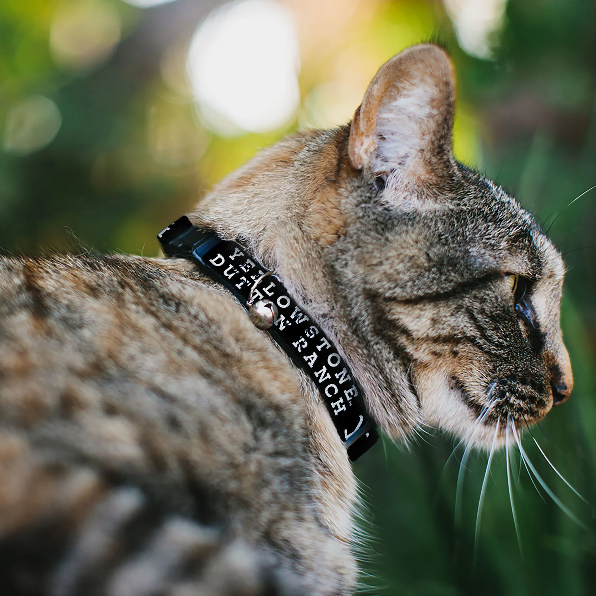 Yellowstone Dutton Ranch Logo Black/White Breakaway Cat Collar - Image 2