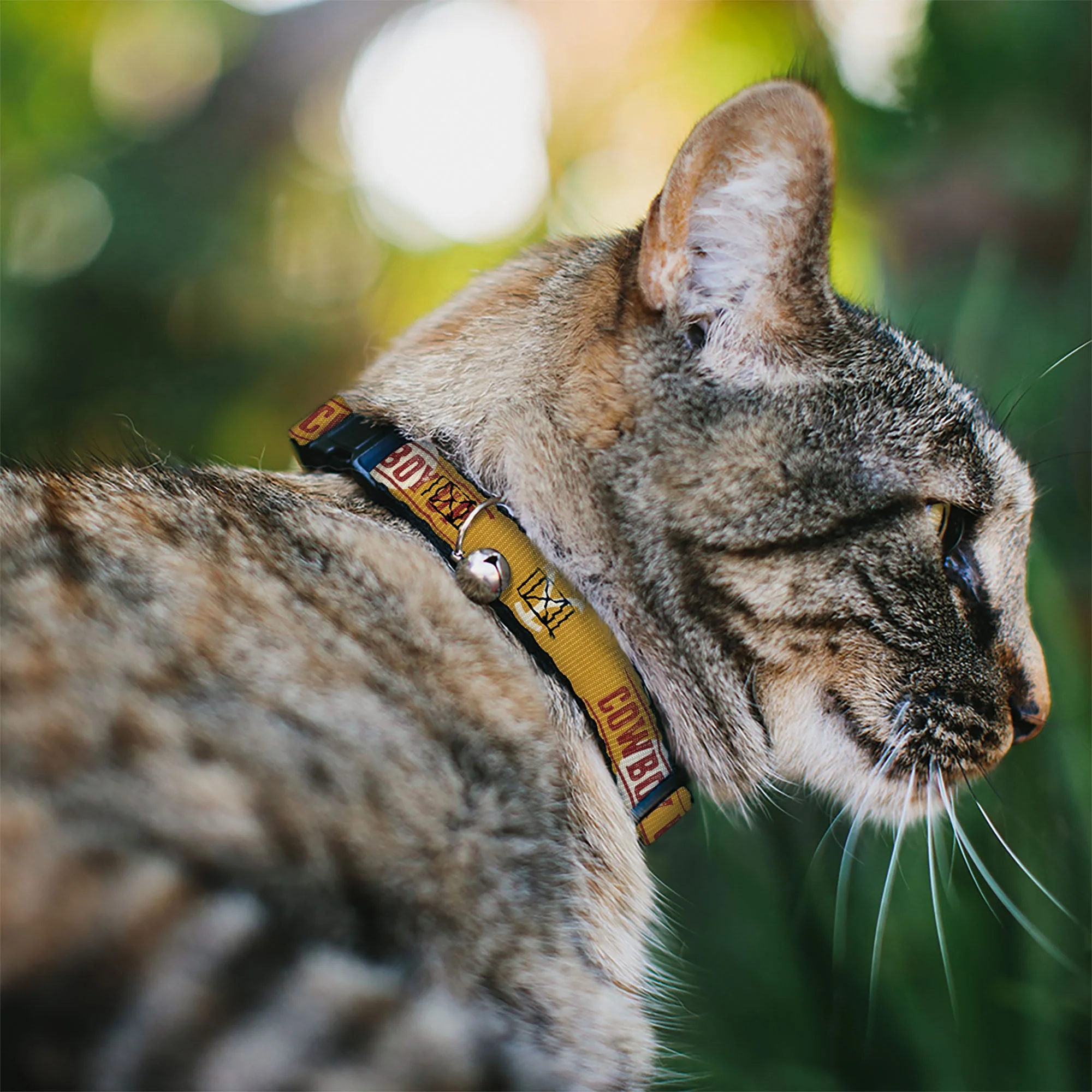 Yellowstone Y Logo Cowboy Up Breakaway Cat Collar with Bell - Image 2