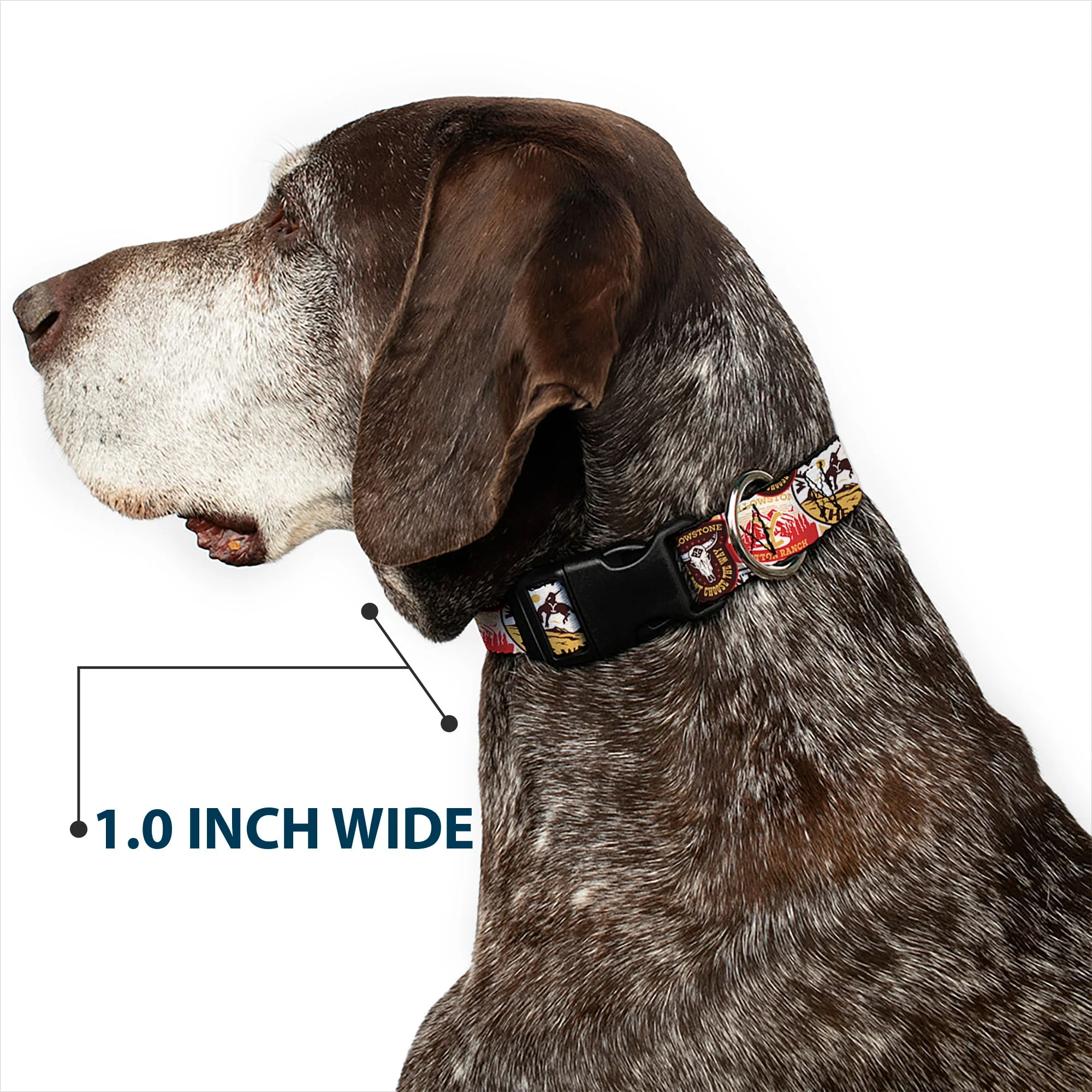 Yellowstone Patches Stacked Design Plastic Clip Pet Collar - Image 6