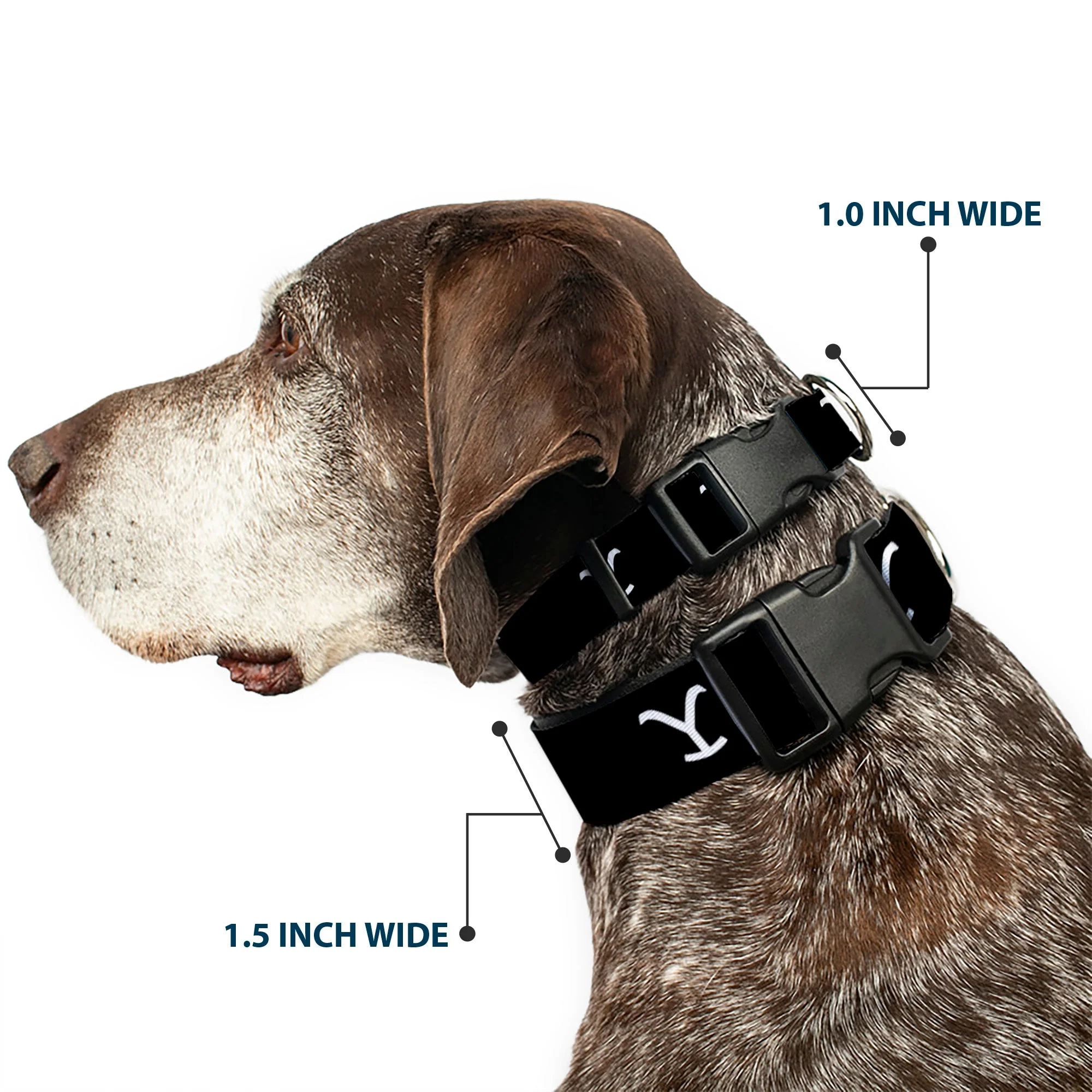 Yellowstone Y Logo Black and White Plastic Clip Pet Collar - Image 2