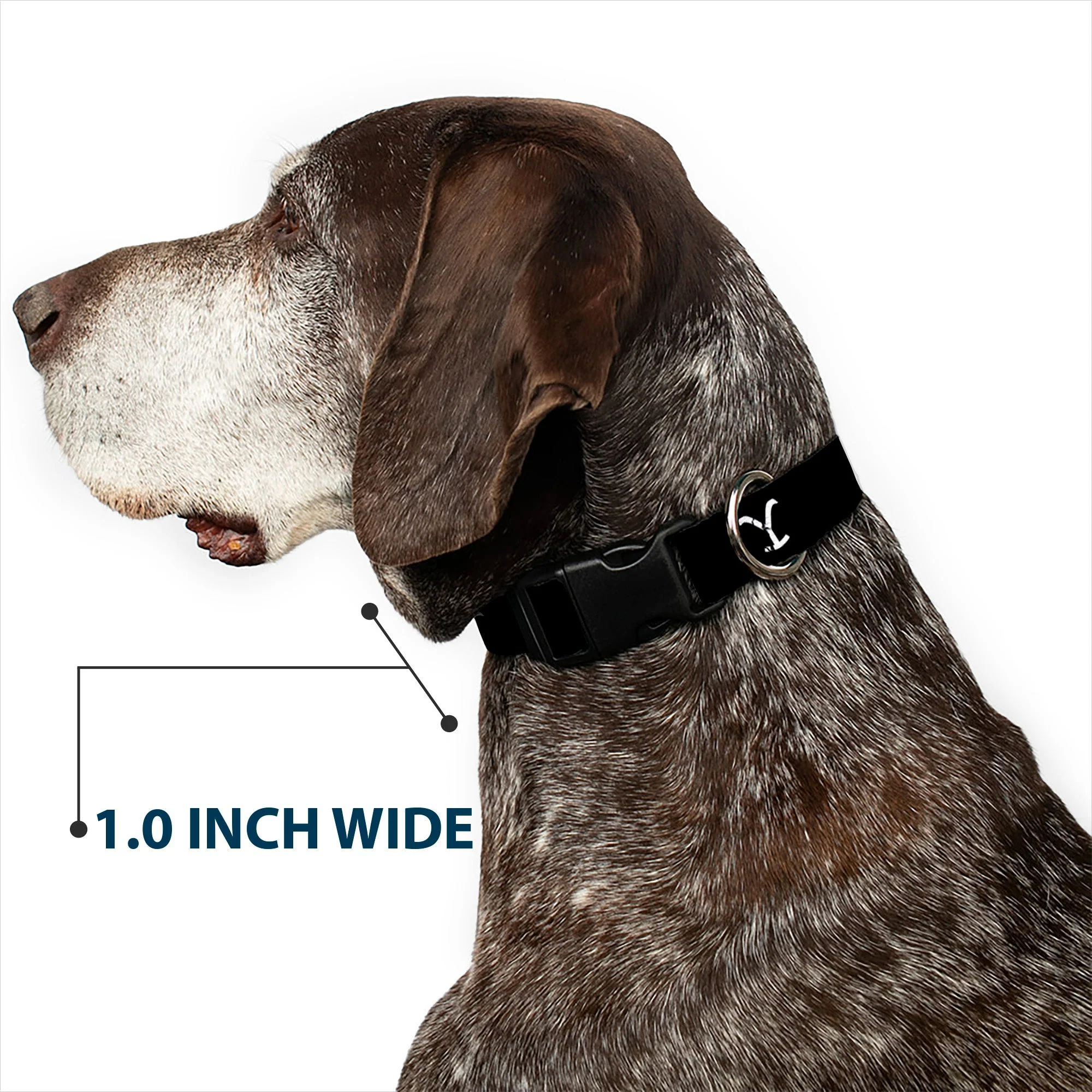 Yellowstone Y Logo Black and White Plastic Clip Pet Collar - Image 6