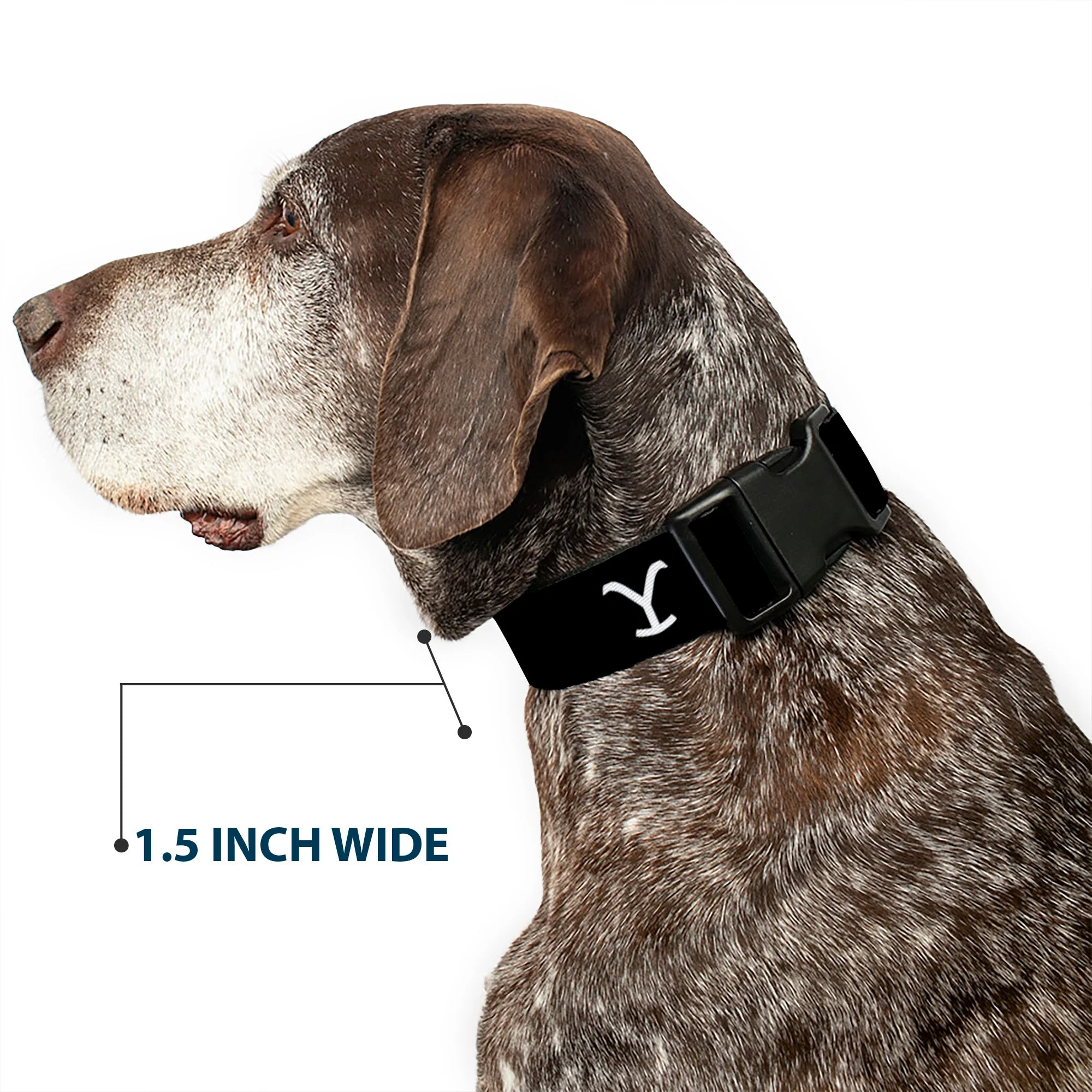 Yellowstone Y Logo Black and White Plastic Clip Pet Collar - Image 7