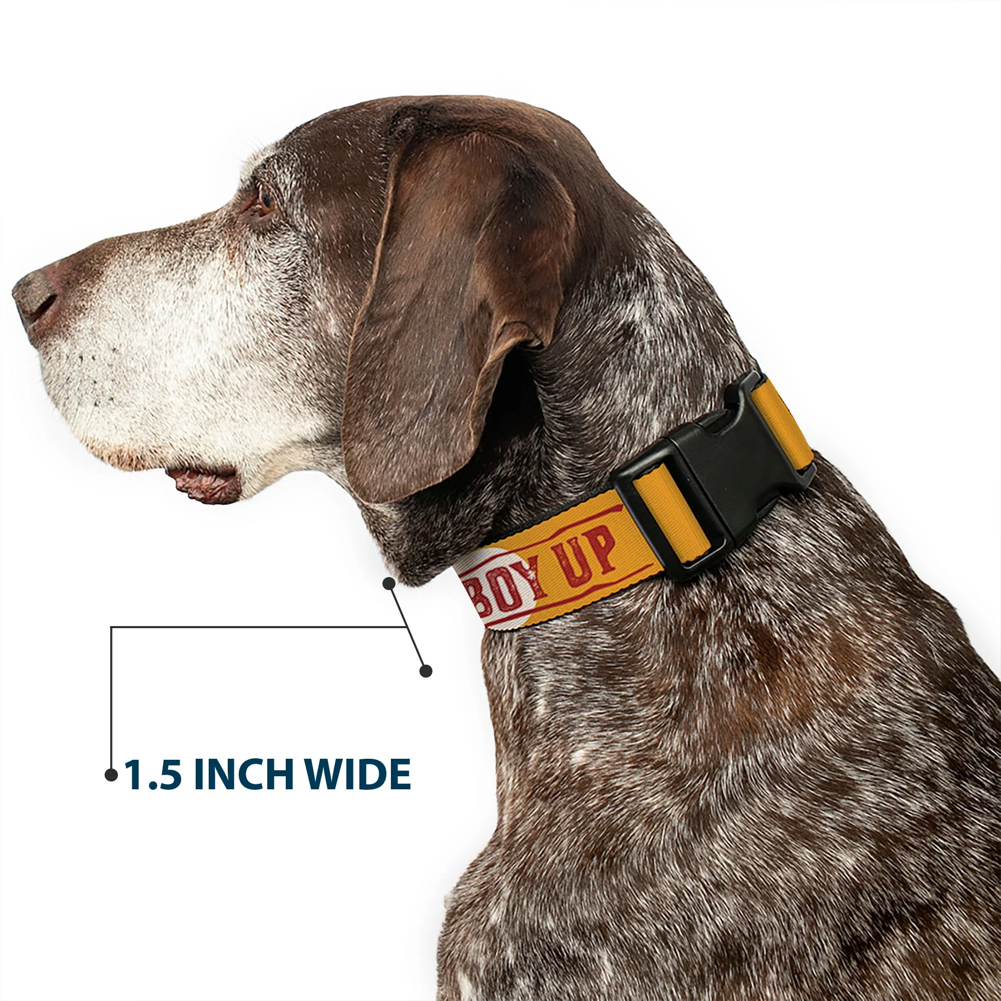 Yellowstone Y Logo Cowboy Up Plastic Clip Pet Collar - Image 7