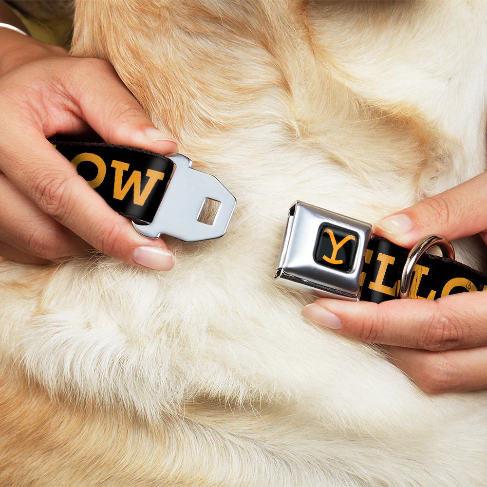 Yellowstone Y Logo Weathered Black and Orange Seatbelt Pet Collar - Image 8