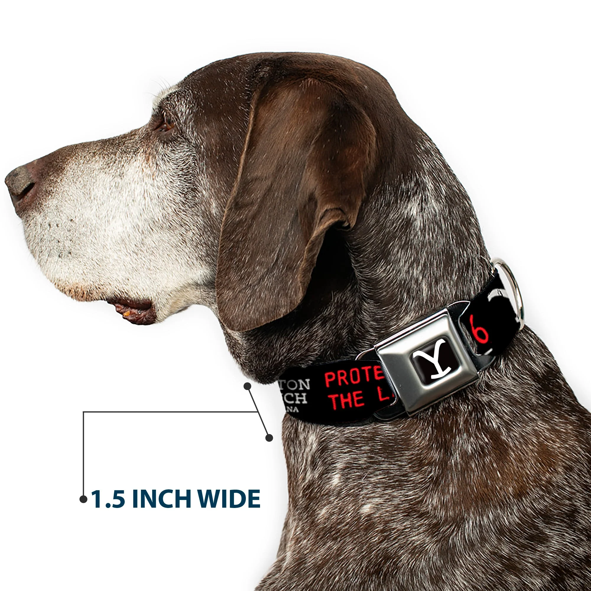 Yellowstone Y Logo Dutton Ranch Seatbelt Buckle Pet Collar - Image 7