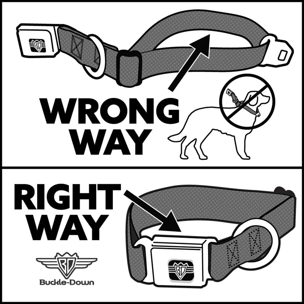 Yellowstone Y Logo Dutton Ranch Seatbelt Buckle Dog Collar - Image 11