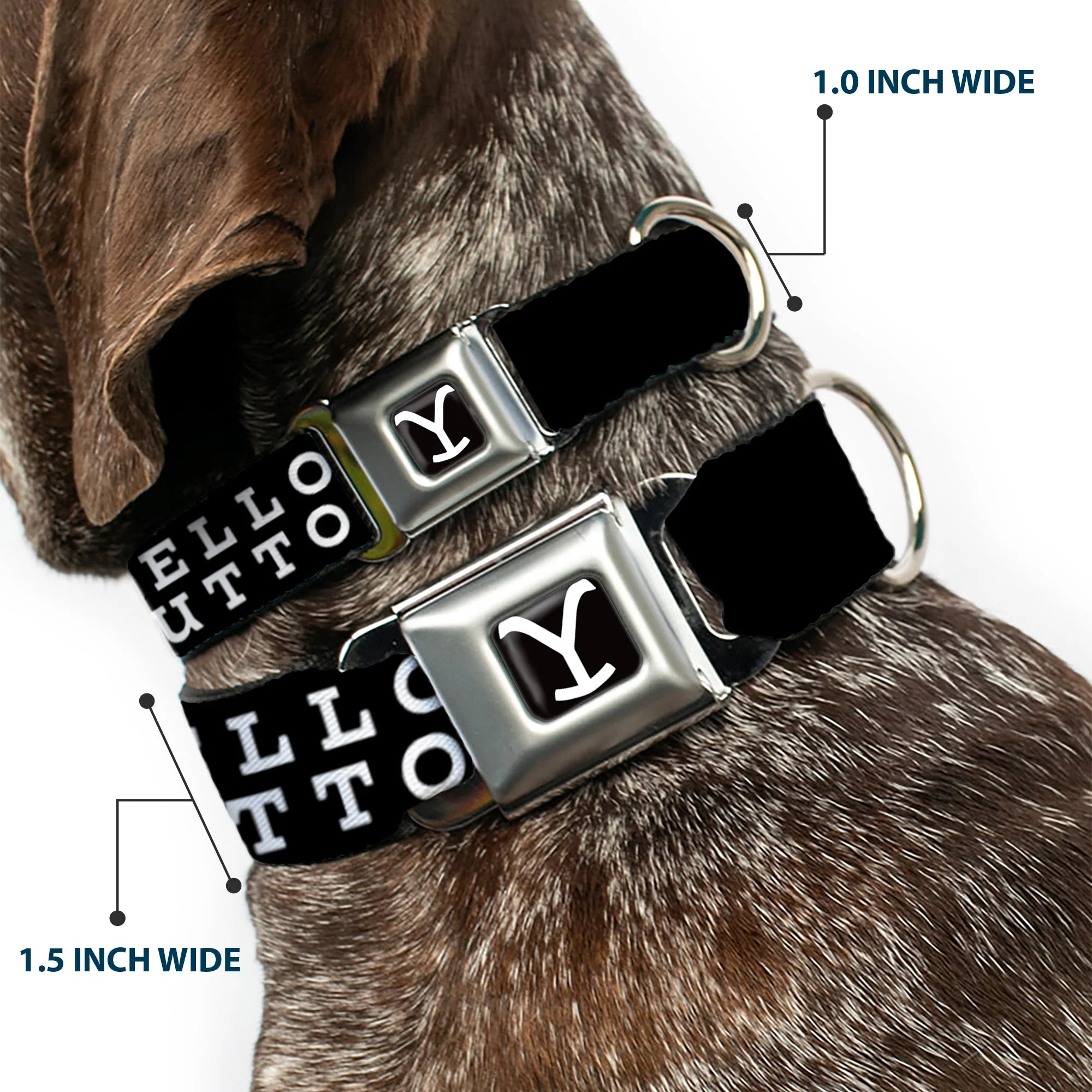 Yellowstone Y Logo Dutton Ranch Seatbelt Buckle Dog Collar - Image 2
