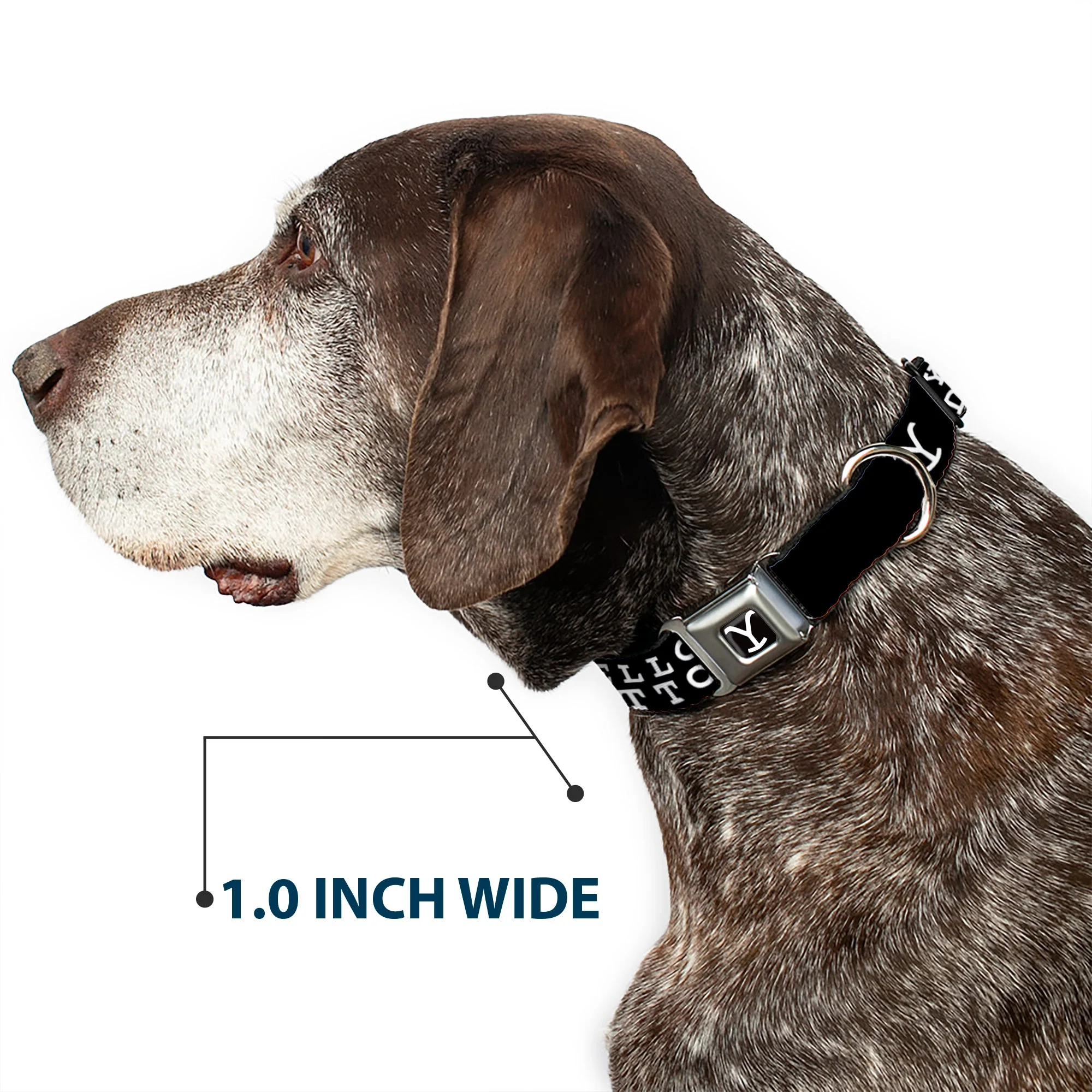 Yellowstone Y Logo Dutton Ranch Seatbelt Buckle Dog Collar - Image 6