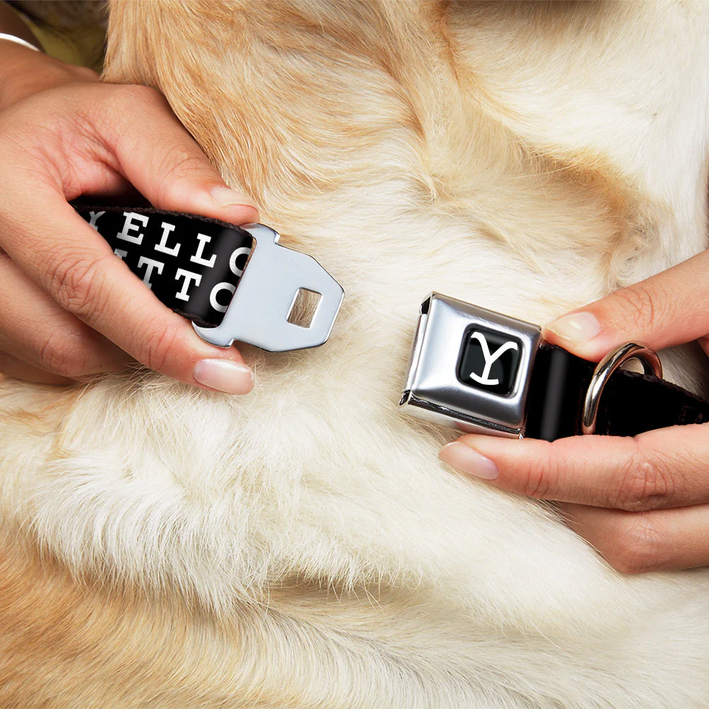 Yellowstone Y Logo Dutton Ranch Seatbelt Buckle Dog Collar - Image 8