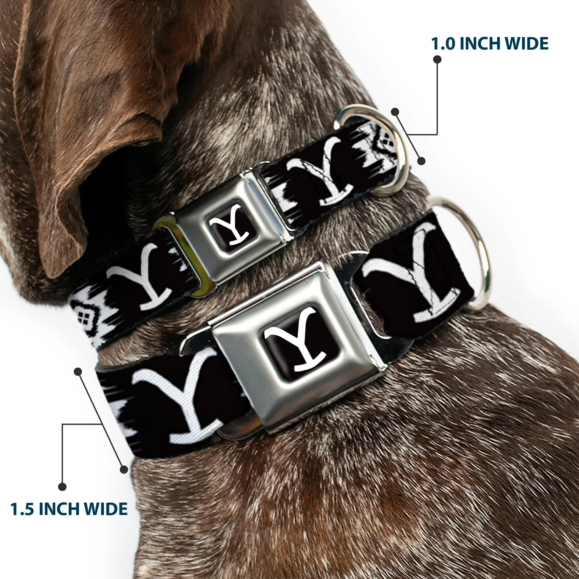 Yellowstone Y Logo Black & White Seatbelt Buckle Dog Collar - Image 2