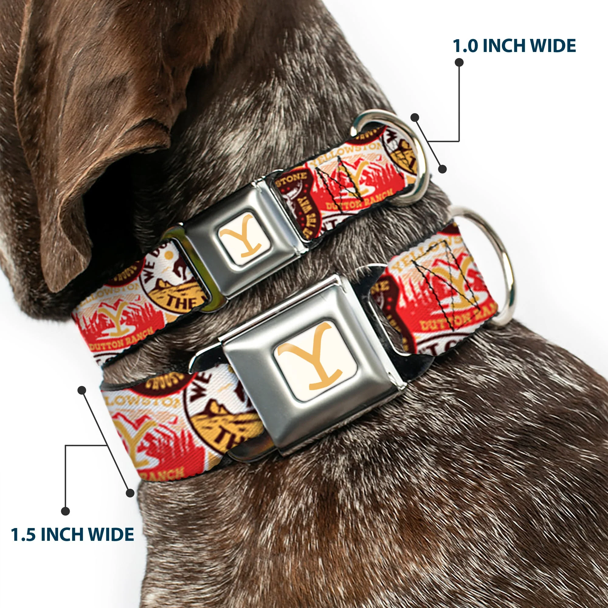 Yellowstone Y Logo Patches Seatbelt Buckle Pet Collar - Image 2