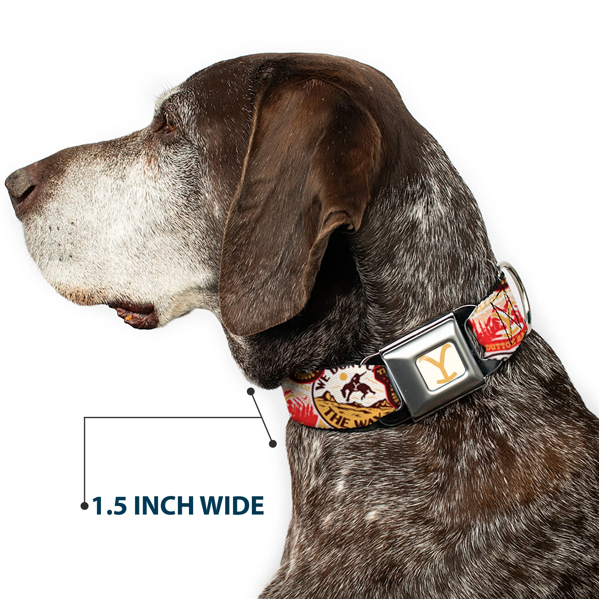 Yellowstone Y Logo Patches Seatbelt Buckle Pet Collar - Image 7